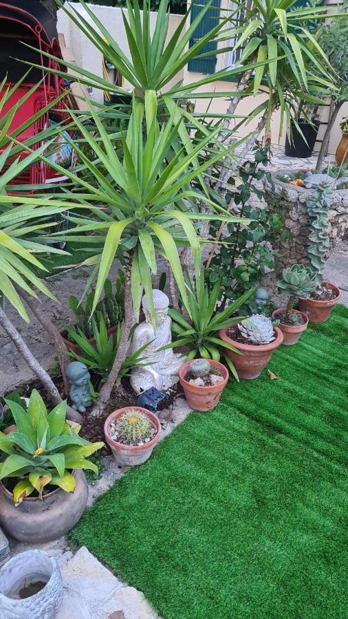 Site Paradis Rue Colibri Avignon Ngoại thất bức ảnh